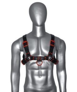 Leather Chest Harness with buckles
