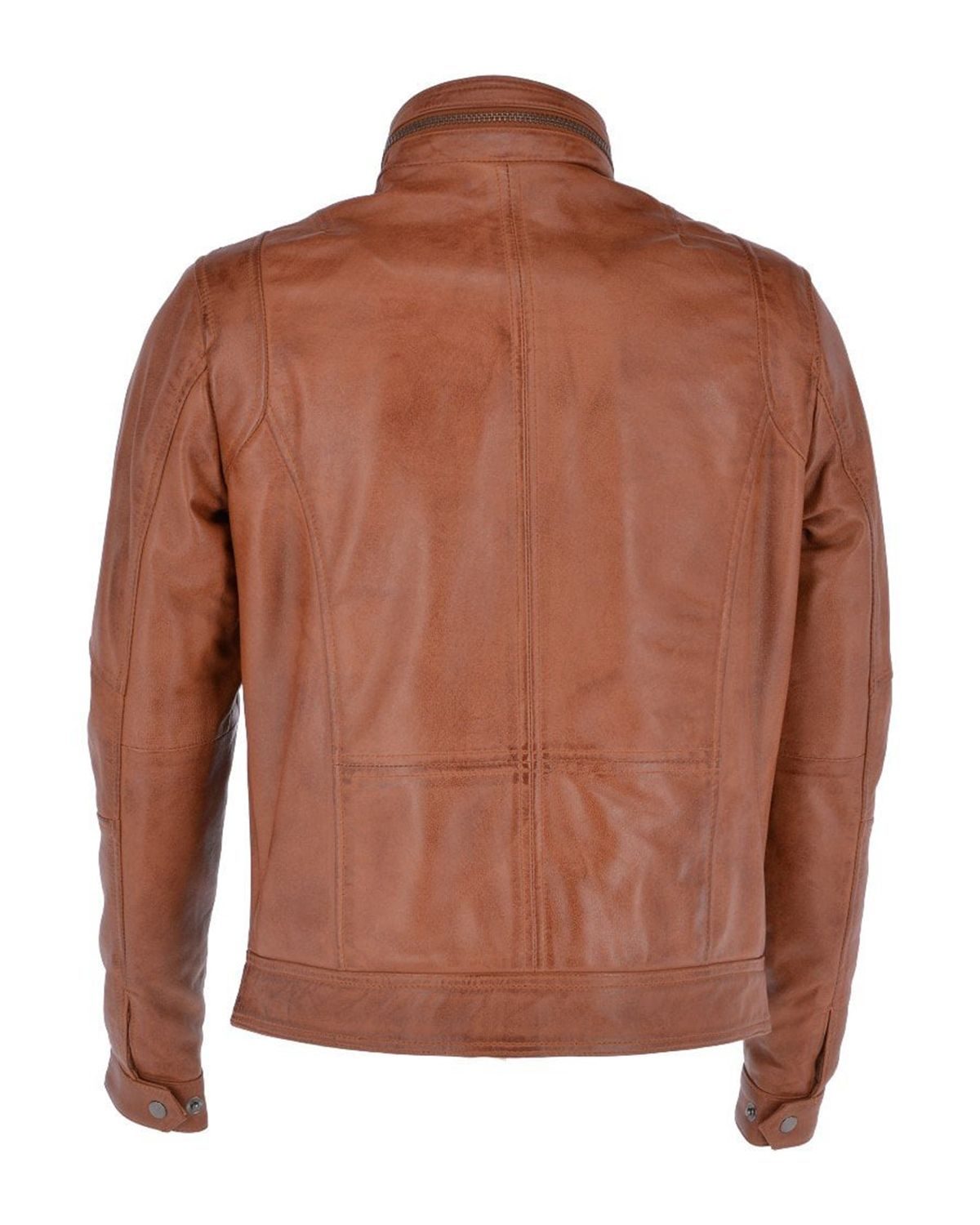 scin-13026-brown-back
