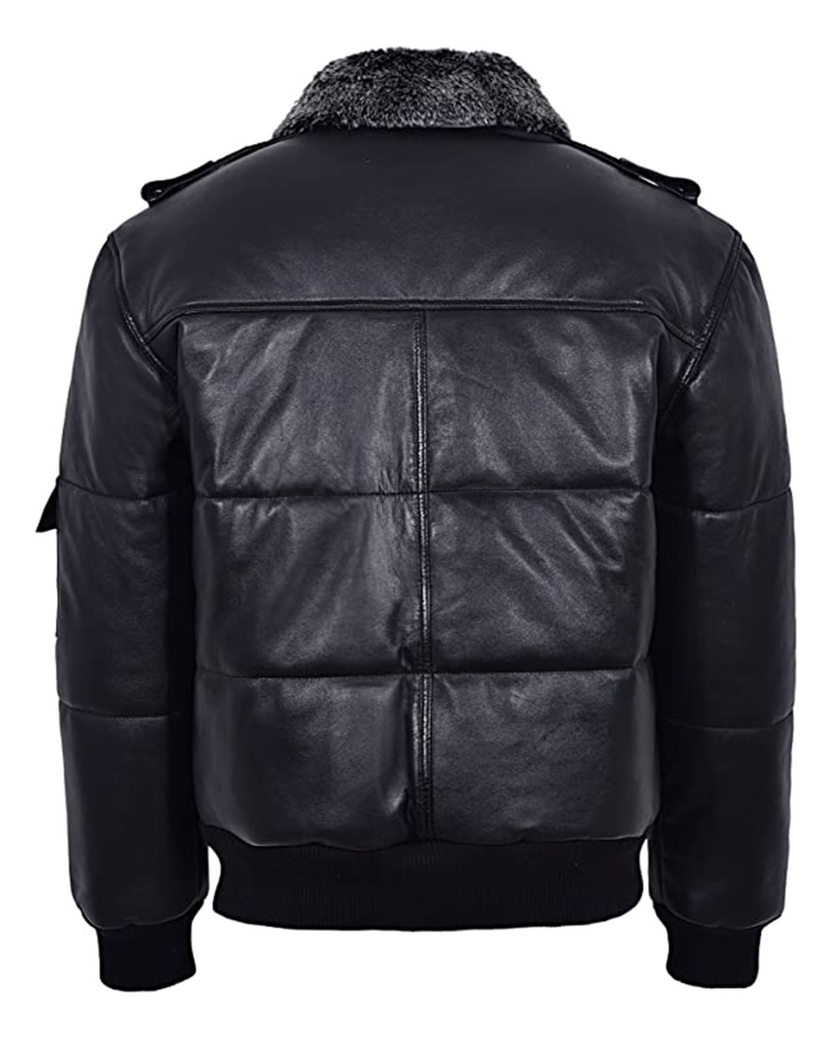 scin-13045-black-back