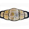 AEW World Wrestling Championship Title Belt