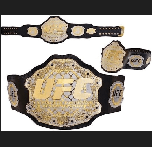 FIGHTING CHAMPIONSHIP REPLICA TITLE BELT