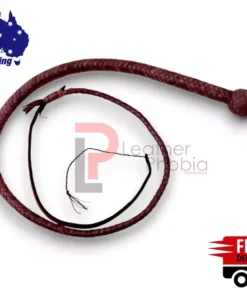 Brown snakewhip