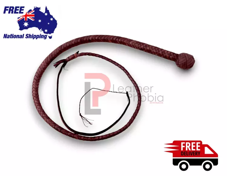 Brown_snakewhip_3_optimized Brown snakewhip