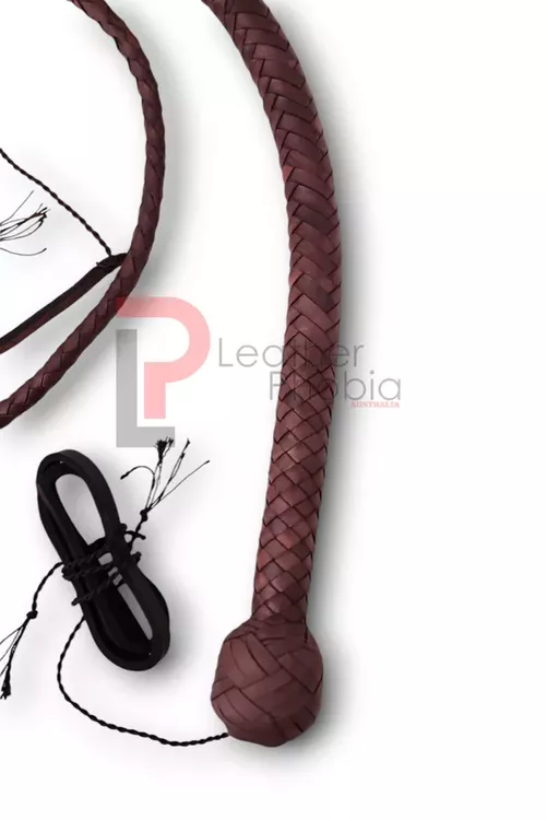 Brown_snakewhip_4_optimized