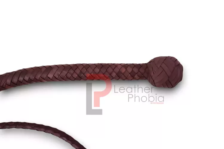 Brown_snakewhip_5_optimized